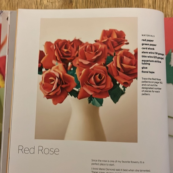 The Art of Paper Flowers By Bobby Pearce - Picture 8 of 12